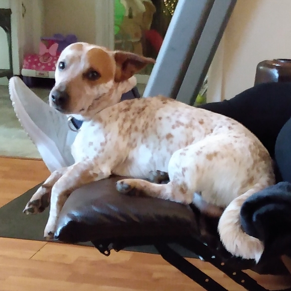 "MendyLew'sMadness" - Picture 4 of 10